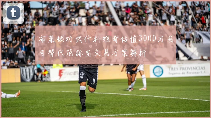 布莱顿对武什科维奇估值3000万或可替代范赫克交易方案解析