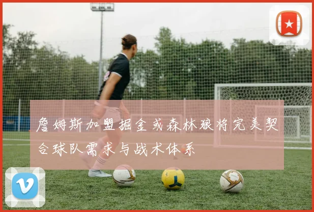 詹姆斯加盟掘金或森林狼将完美契合球队需求与战术体系